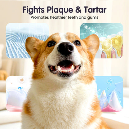 PureSmile Pets™ — Effortless Fresh Breath That Ignites Daily Cuddles