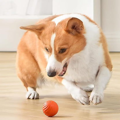 TurboBark™ — Ignite Your Dog’s Pure Joy with Endless, Hands-Free Chase Fun