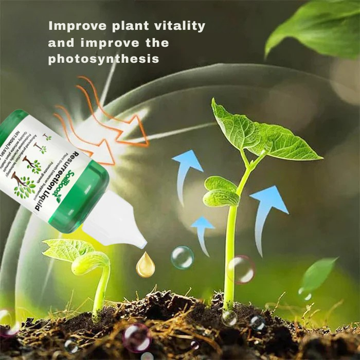 GardenPulse™ Root & Bloom Elixir — Ignite Explosive Growth and Unstoppable Plant Vitality