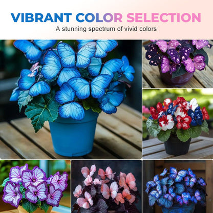 FaeMorph™ Butterfly Bloom Seeds — Create a Magical Garden That Leaves Everyone Breathless