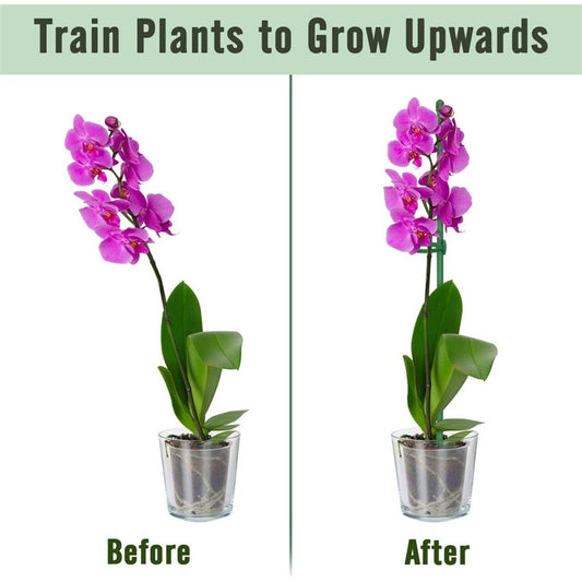 VitaStem™ — Unshakable Plant Support That Fuels Fierce, Flourishing Growth Every Season