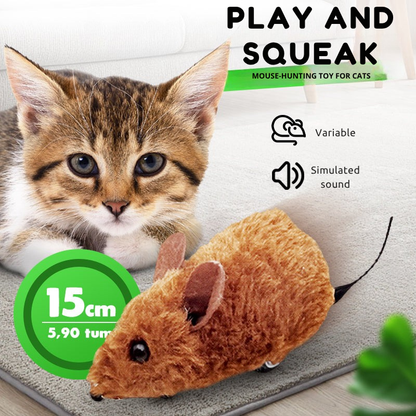 ShadowDash™ — Unleash Your Cat’s Wild Energy and Endless Playtime Joy