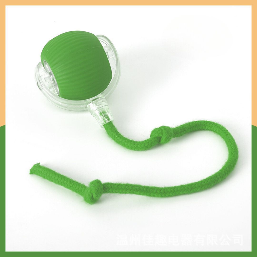 ZoomTail™ — Unleash Your Dog’s Ultimate Energy and Fun Instincts