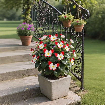 FaeMorph™ Butterfly Bloom Seeds — Create a Magical Garden That Leaves Everyone Breathless