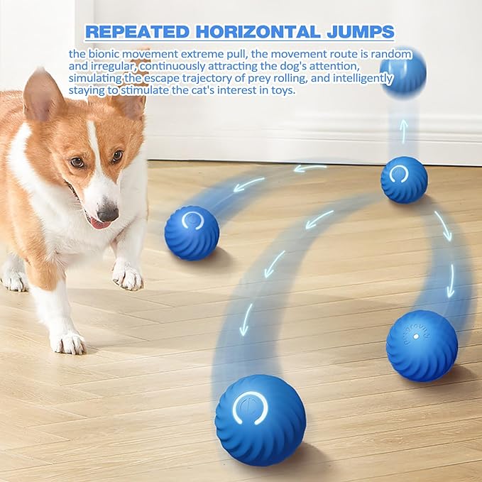 TurboBark™ — Ignite Your Dog’s Pure Joy with Endless, Hands-Free Chase Fun