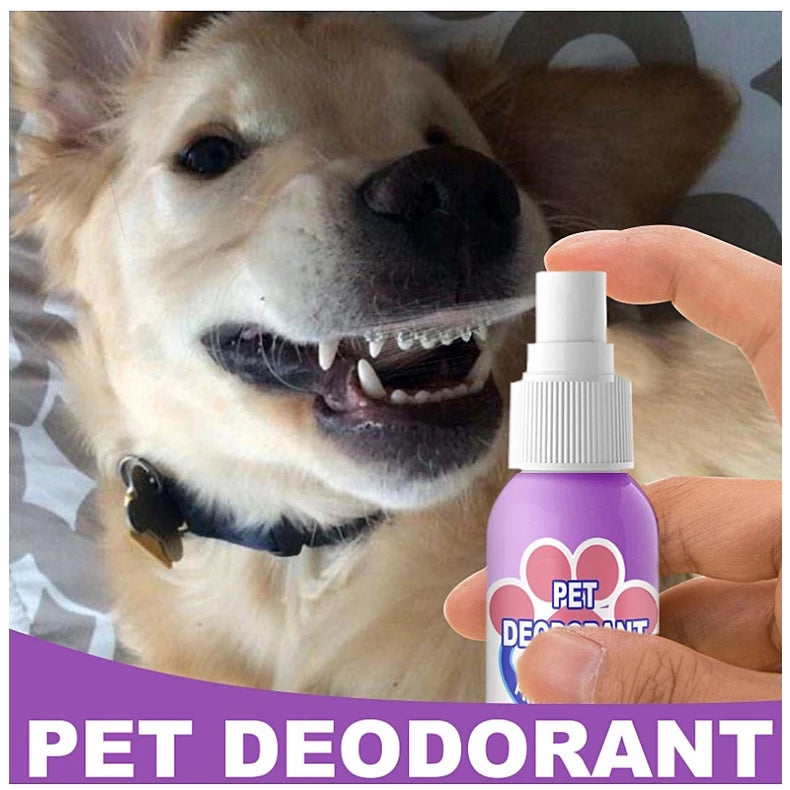 BrisaPet™ — Instantly Freshen Breath for Snuggles That Melt Your Heart