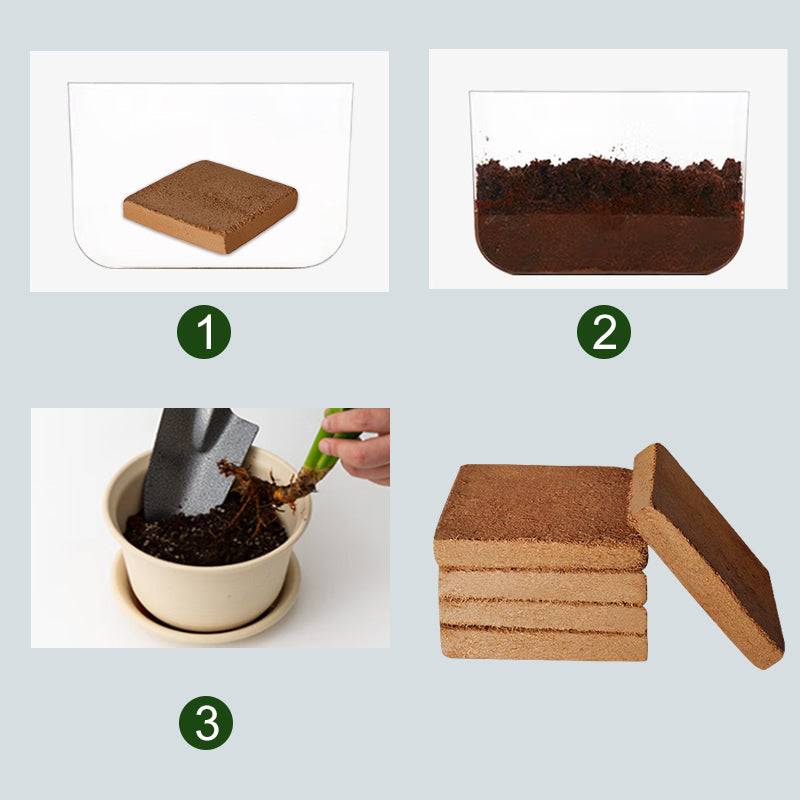 RootGlow™ — Ignite Explosive Growth with Perfectly Moist, Oxygen-Rich Roots Every Time