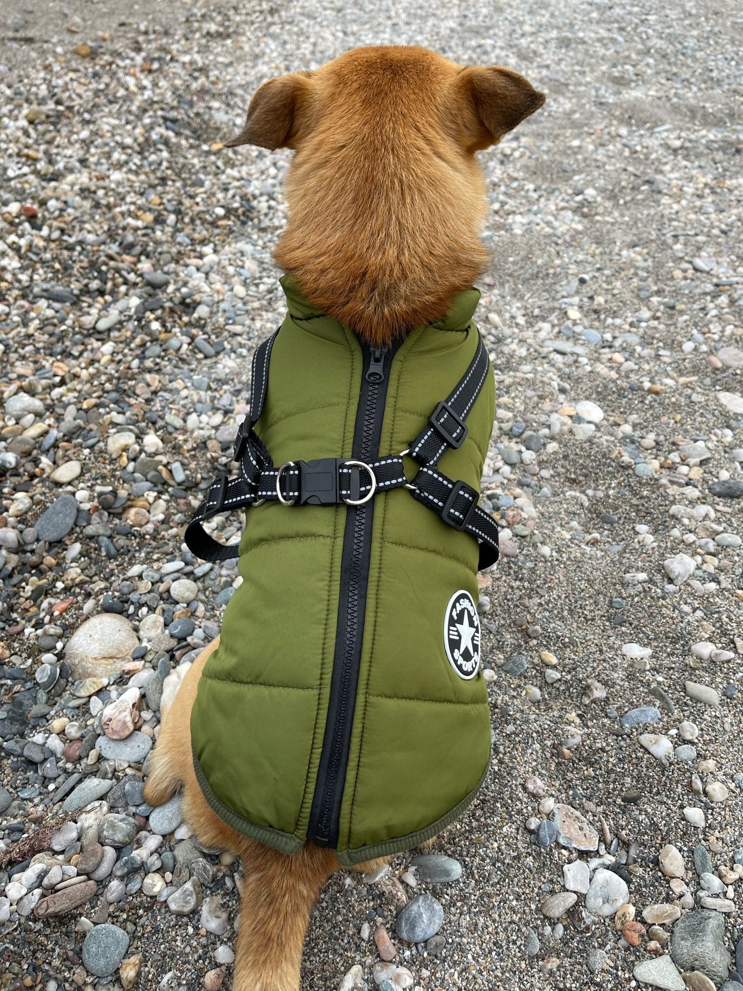 VentiPaw™ Weather Jacket — Wrap Your Pup in Cozy Warmth and Instant Control, Rain or Shine