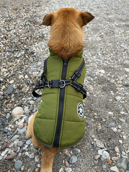VentiPaw™ Weather Jacket — Wrap Your Pup in Cozy Warmth and Instant Control, Rain or Shine