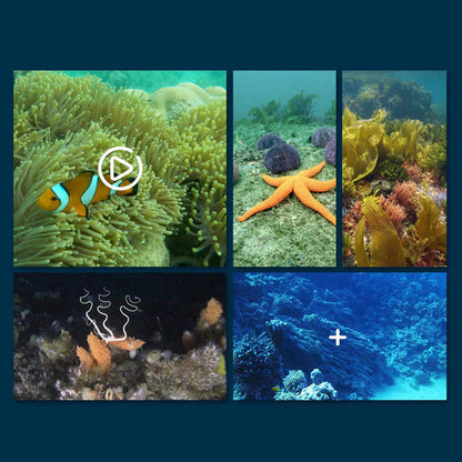 Marinex™ — Instantly Unlock Stunning Underwater Worlds Without Getting Wet