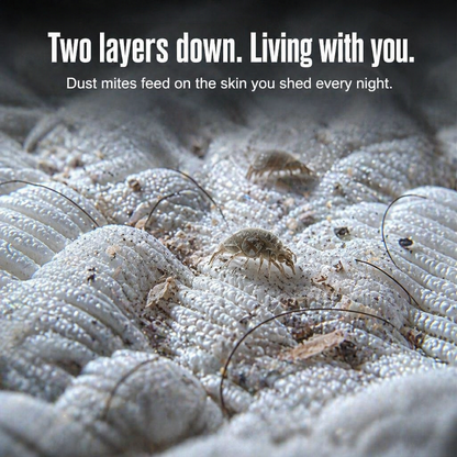SleepSanity™ — Banish Bedroom Allergens for Truly Restful, Energizing Mornings