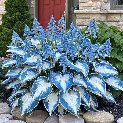 ShadeFlair™ — Turn Dark, Neglected Corners into Lush, Vibrant Garden Sanctuaries