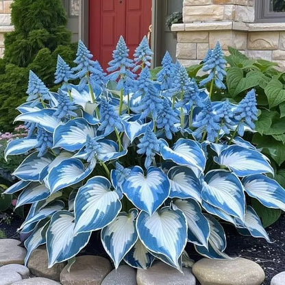 ShadeFlair™ — Turn Dark, Neglected Corners into Lush, Vibrant Garden Sanctuaries