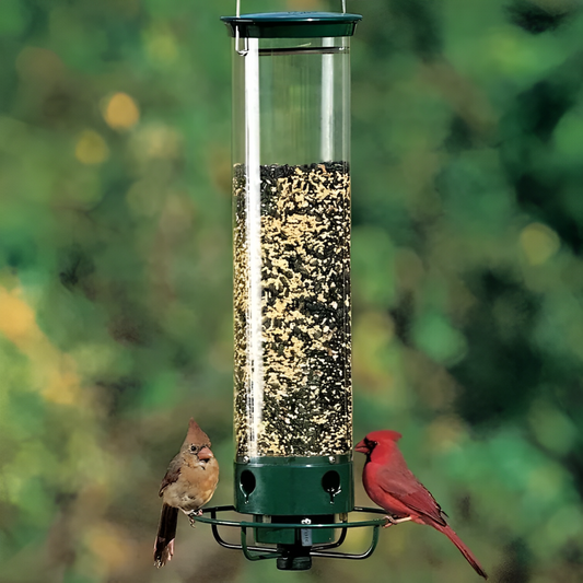 Bird Feeder | Squirrel-Proof Spinning Perch | 5 lb Capacity