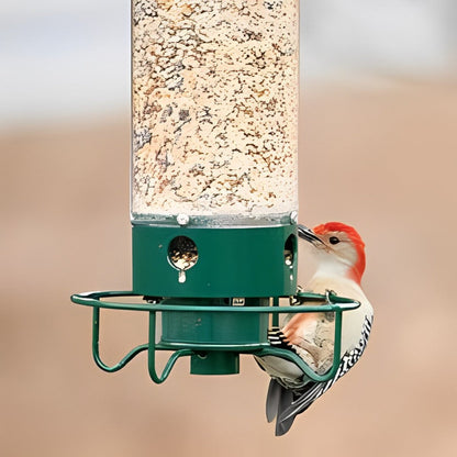 Bird Feeder | Squirrel-Proof Spinning Perch | 5 lb Capacity
