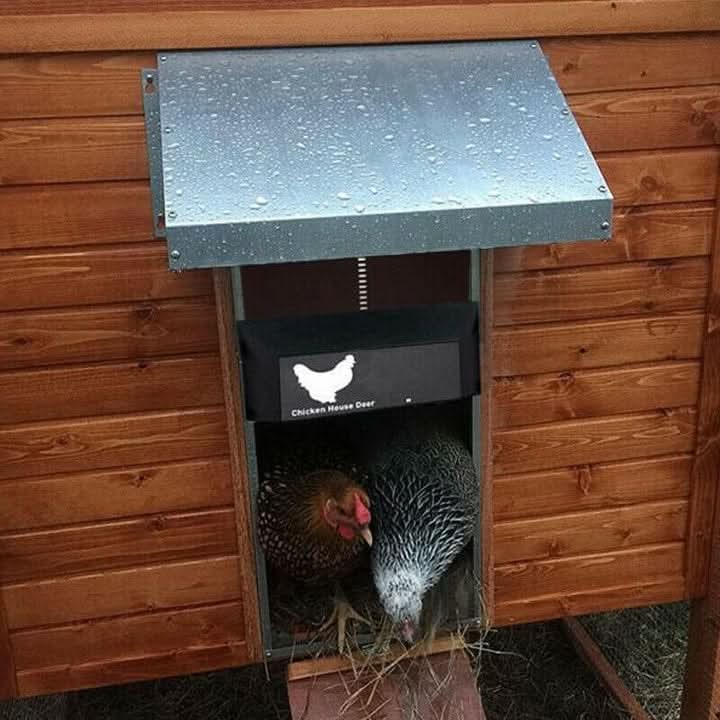 Chicken Coop Door | Automatic Light Sensor | Weatherproof Construction | Easy Installation
