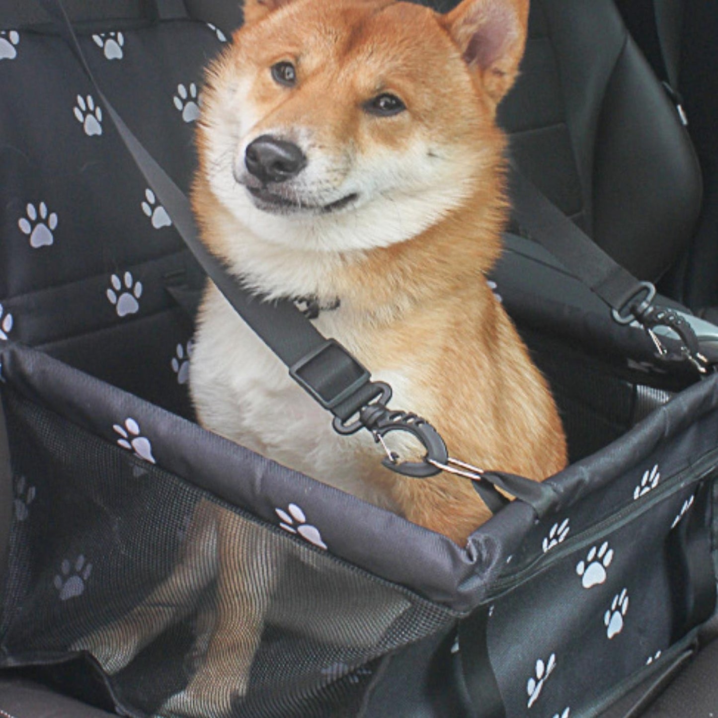 Dog Car Seat | Elevated Booster Seat for Small to Medium Dogs | Waterproof Fabric & Anti-Slip Base