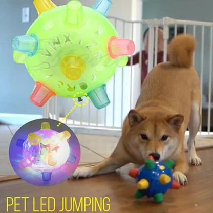 Dog Toy | Interactive Jumping LED Ball | Food-Grade Rubber & Sound | Mental Stimulation
