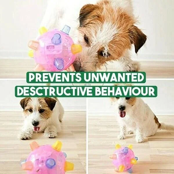 Dog Toy | Interactive Jumping LED Ball | Food-Grade Rubber & Sound | Mental Stimulation