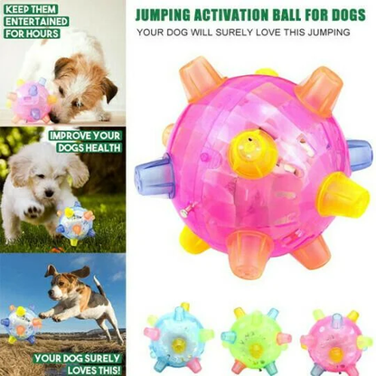 Dog Toy | Interactive Jumping LED Ball | Food-Grade Rubber & Sound | Mental Stimulation