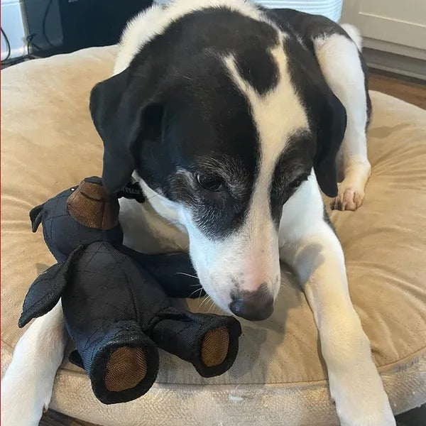 Dog Toy for Heavy Chewers | Indestructible Interactive Bear | Durable Nylon & Built-In Squeaker