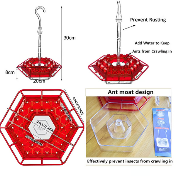 Hummingbird Feeder | 30-Port with Built-In Ant Moat | Transparent Reservoir | Garden & Patio