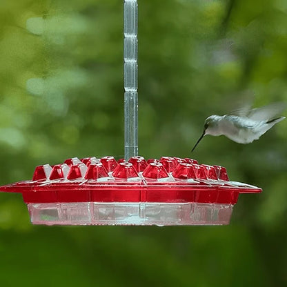 Hummingbird Feeder | 30-Port with Built-In Ant Moat | Transparent Reservoir | Garden & Patio