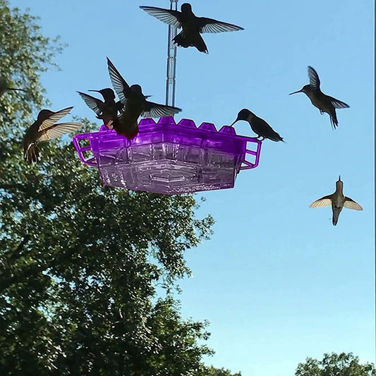 Hummingbird Feeder | Ant-Proof Hexagonal Ports | 12 oz Capacity | Easy-Fill & Dishwasher Safe