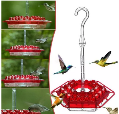 Hummingbird Feeder | Ant-Proof Hexagonal Ports | 12 oz Capacity | Easy-Fill & Dishwasher Safe