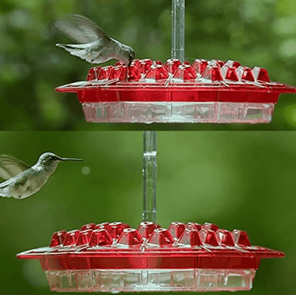 Hummingbird Feeder | Ant-Proof Hexagonal Ports | 12 oz Capacity | Easy-Fill & Dishwasher Safe