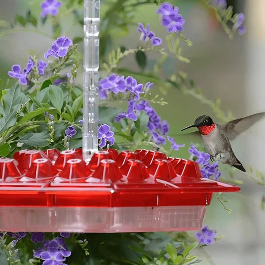 Hummingbird Feeder | Built-In Ant Moat | 24 oz Capacity & Leak-Proof | Garden & Patio