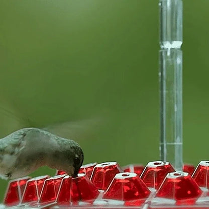 Hummingbird Feeder | Built-In Ant Moat | 24 oz Capacity & Leak-Proof | Garden & Patio