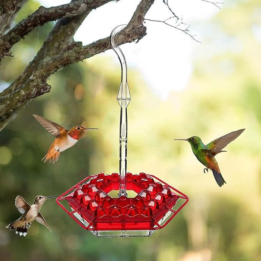 Hummingbird Feeder Hanging | Ant-Proof Moat | 30 Feeding Ports | Shatterproof Outdoor