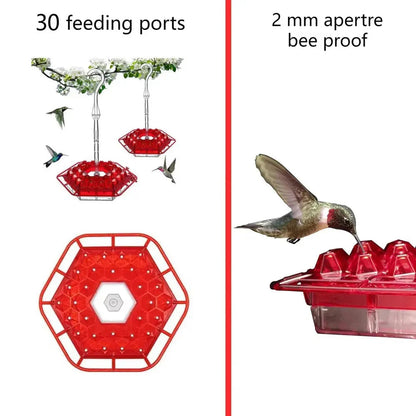 Hummingbird Feeder Hanging | Ant-Proof Moat | 30 Feeding Ports | Shatterproof Outdoor