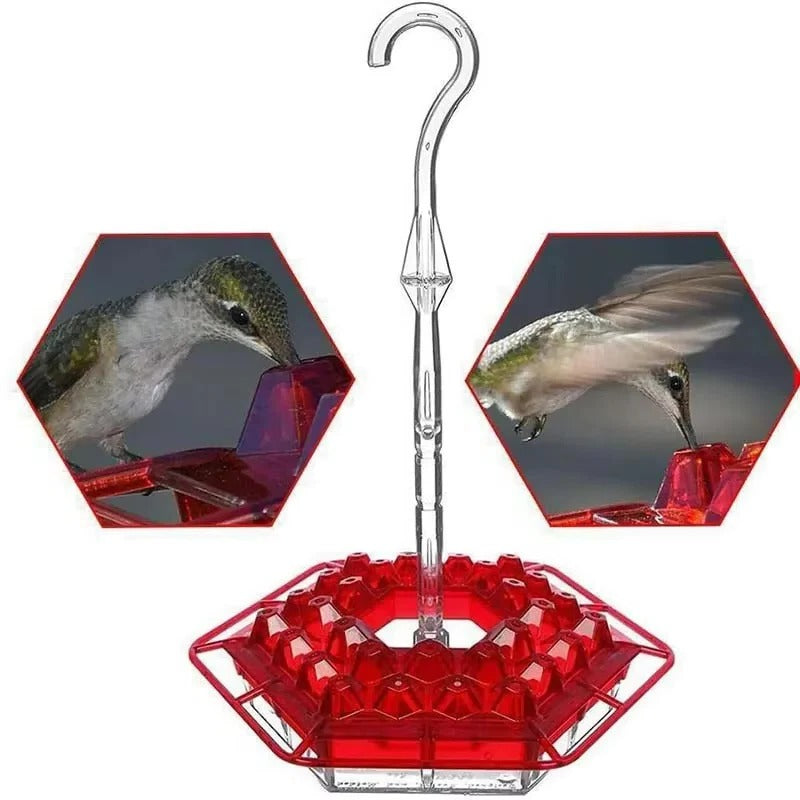 Hummingbird Feeder Hanging | Ant-Proof Moat | 30 Feeding Ports | Shatterproof Outdoor