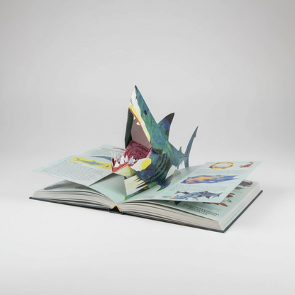 Kids Pop-Up Book | 3D Dinosaur Adventure | Sturdy Pages & Colorful Illustrations