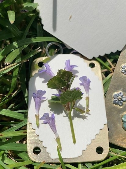 Mini Flower Press | Handcrafted Silver & Brass | 10 Reusable Blotter Sheets | Portable