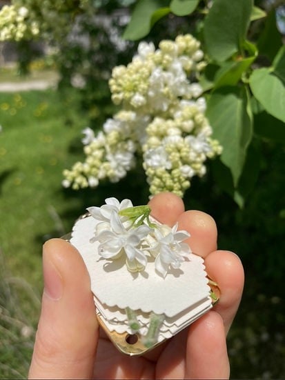 Mini Flower Press | Handcrafted Silver & Brass | 10 Reusable Blotter Sheets | Portable