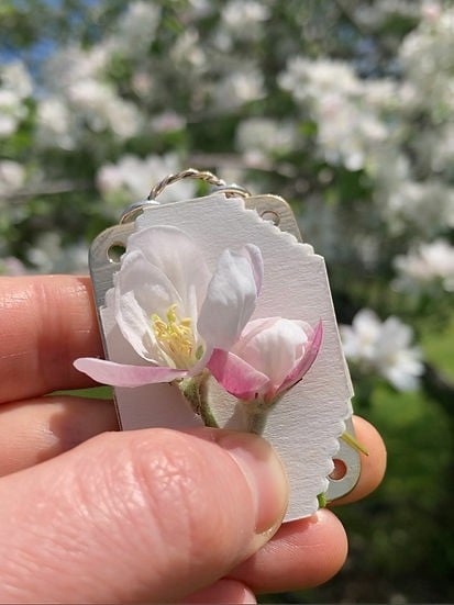 Mini Flower Press | Handcrafted Silver & Brass | 10 Reusable Blotter Sheets | Portable