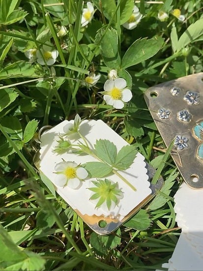 Mini Flower Press | Handcrafted Silver & Brass | 10 Reusable Blotter Sheets | Portable