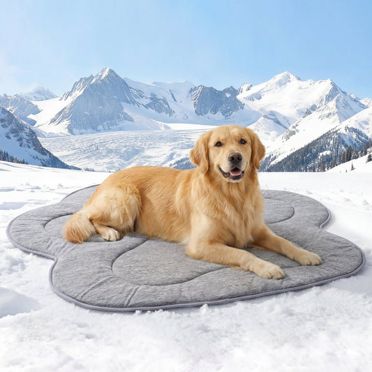 Pet Cooling Mat | Instant Cooling Fabric | Waterproof & Non-Slip Backing, Machine Washable