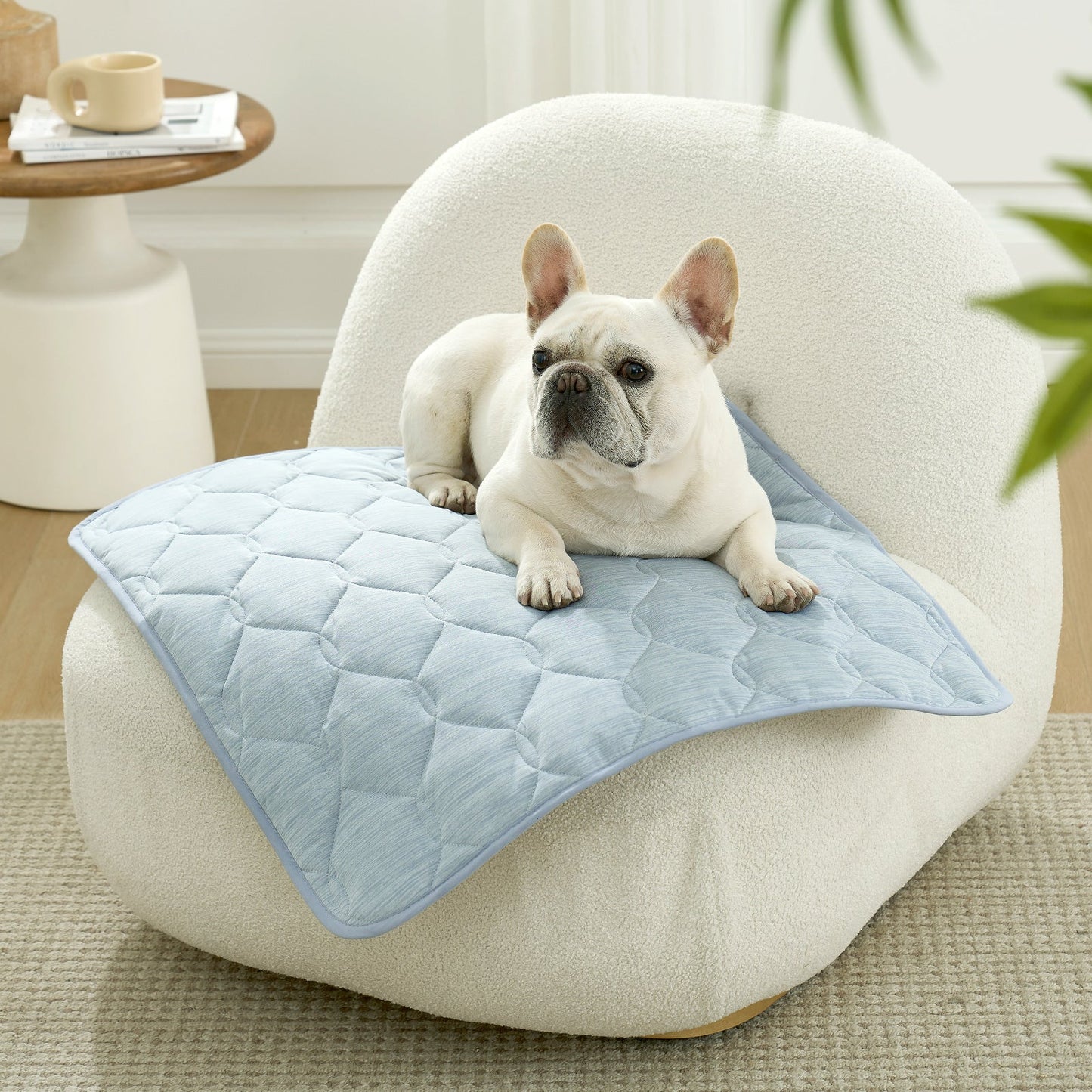 Pet Couch Cover for Dogs & Cats | Cooling Fabric | Scratch-Proof Nylon & Waterproof Non-Slip