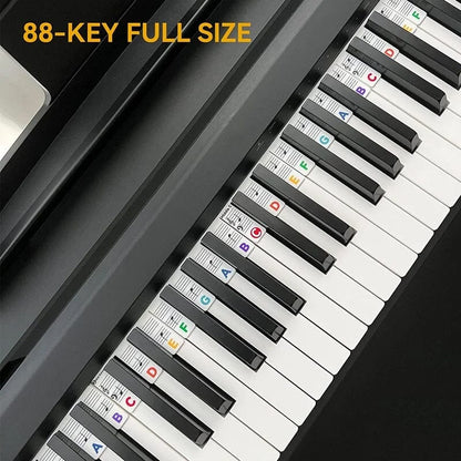 Piano Key Labels | Removable Silicone Note Strips | Double-Staff Notes, 88-Key Compatible