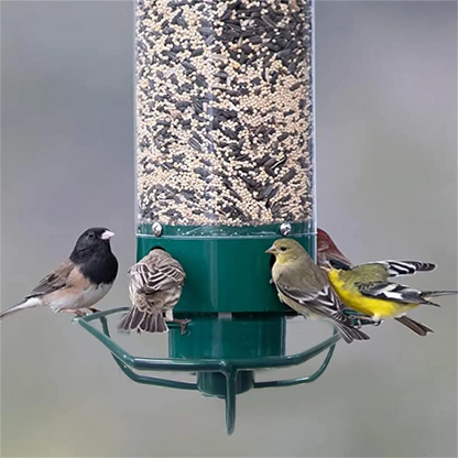 Squirrel-Proof Bird Feeder | Weight-Activated Perch | Metal & Polycarbonate | Weather-Resistant
