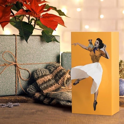 Tissue Box Cover | Interactive Flying Skirt Design | Weighted Base & Reusable | 25x13x8 cm