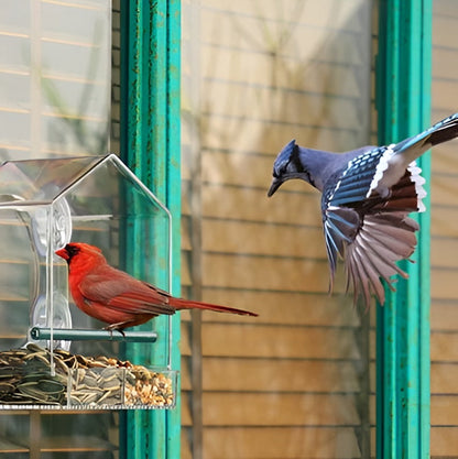Window Bird Feeder | Clear Viewing Suction-Mount Design | Weatherproof & Durable
