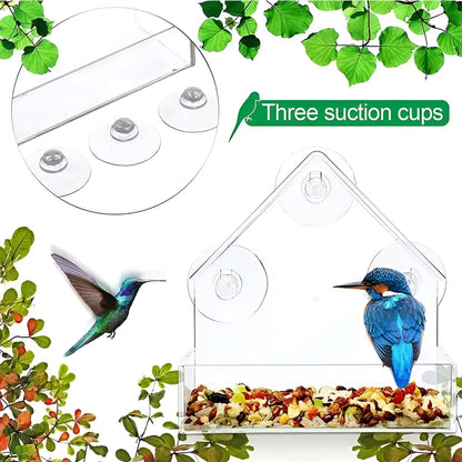 Window Bird Feeder | Clear Viewing Suction-Mount Design | Weatherproof & Durable