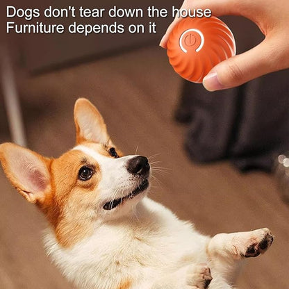 TurboBark™ — Ignite Your Dog’s Pure Joy with Endless, Hands-Free Chase Fun