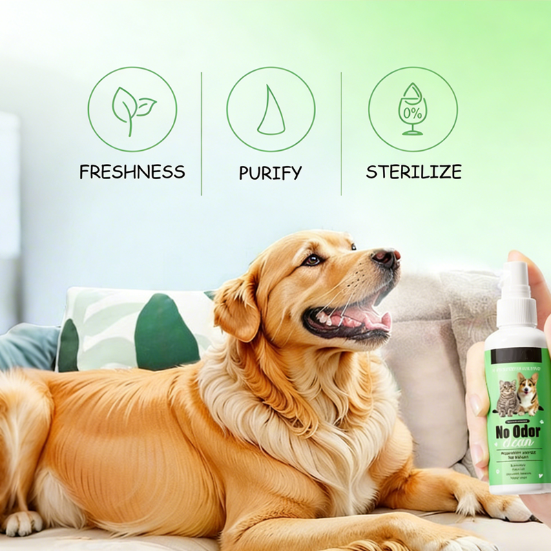 FreshPaws™ — Unlock Instant Freshness and a Dazzling Smile Your Pet Will Love