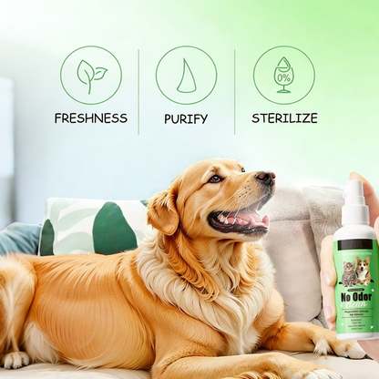 FreshPaws™ — Unlock Instant Freshness and a Dazzling Smile Your Pet Will Love